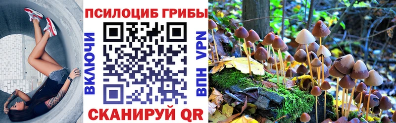 hydra онион  Ясный  Псилоцибиновые грибы Psilocybine cubensis 